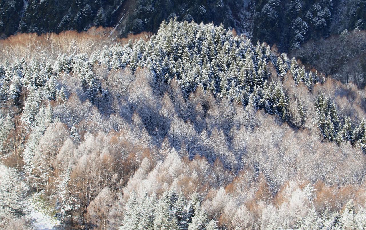 Nakao Kogen Hotel Kazaguruma Takayama  Eksteriør bilde